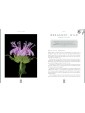 Plants of Power : Cultivate Your Garden Apothecary and Transform Your Life by Stacey Demarco & Miranda Mueller